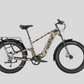 Nomad 2x