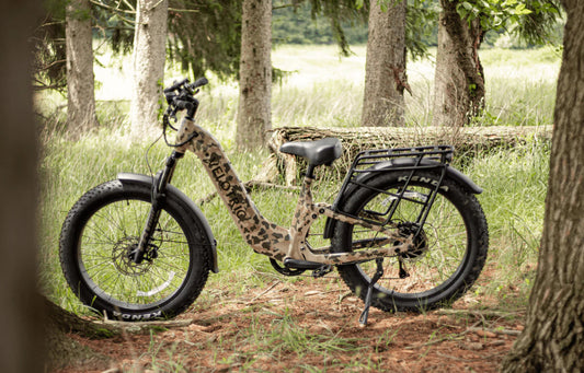 Nomad 2x