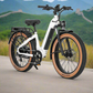 Electric Bike Rentals