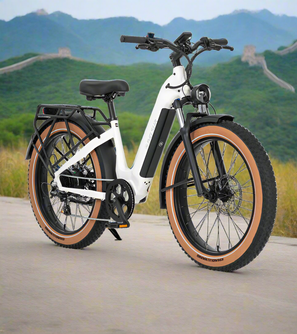Electric Bike Rentals