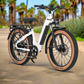 Electric Bike Rentals
