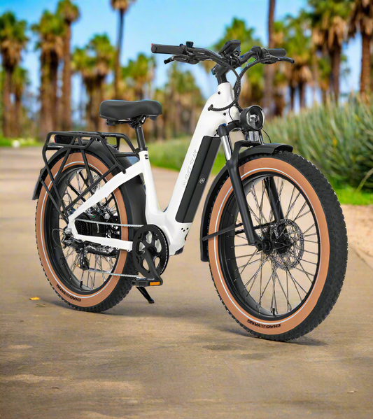 Electric Bike Rentals