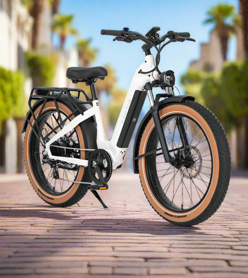 Electric Bike Rentals