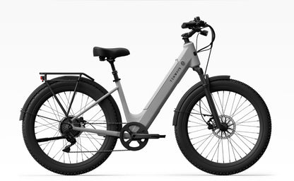 Electric Bike Rentals